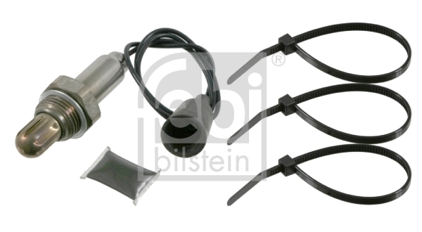 Oxygen Sensor